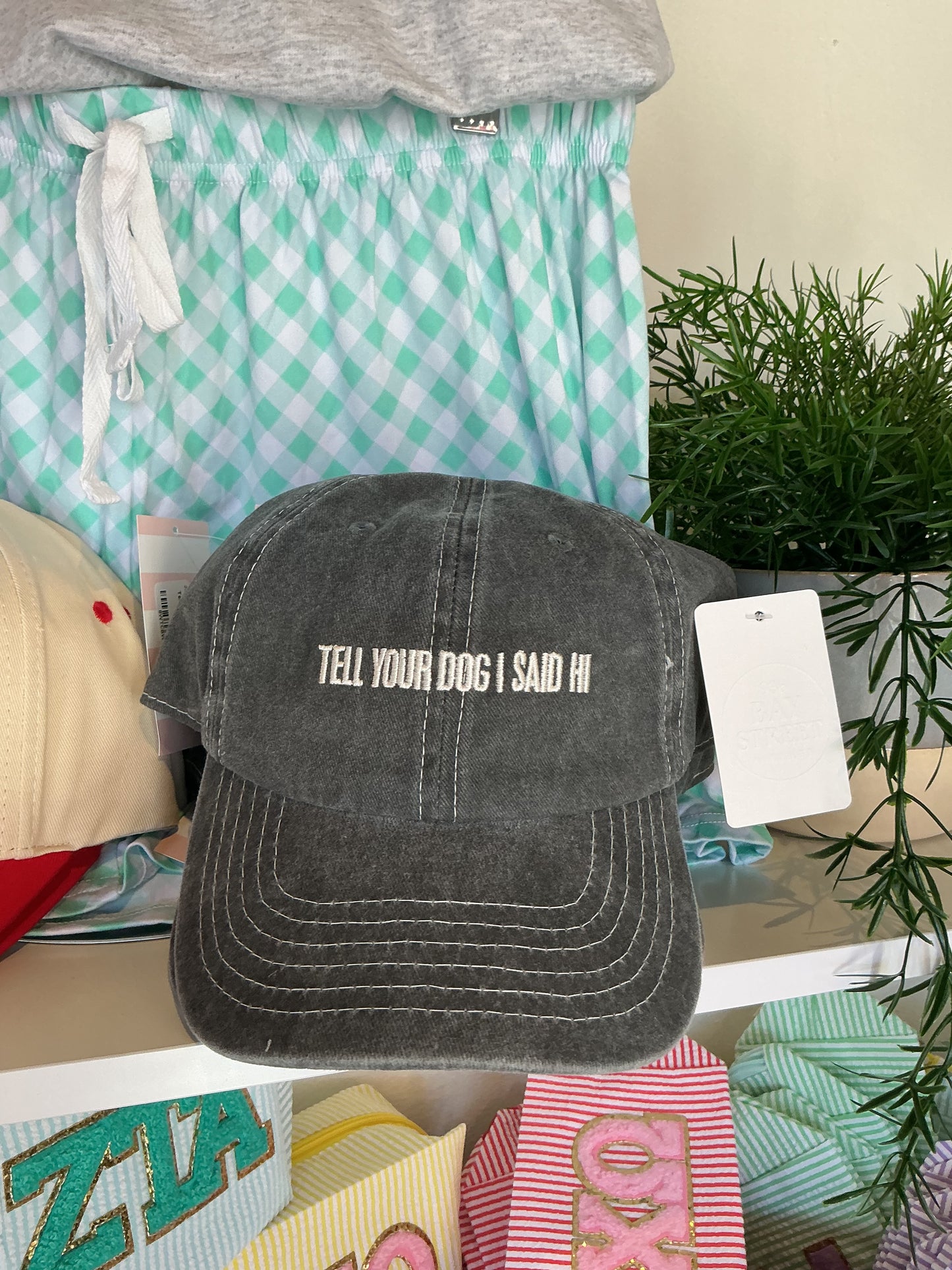 “ Tell your dog I said hi” Hat