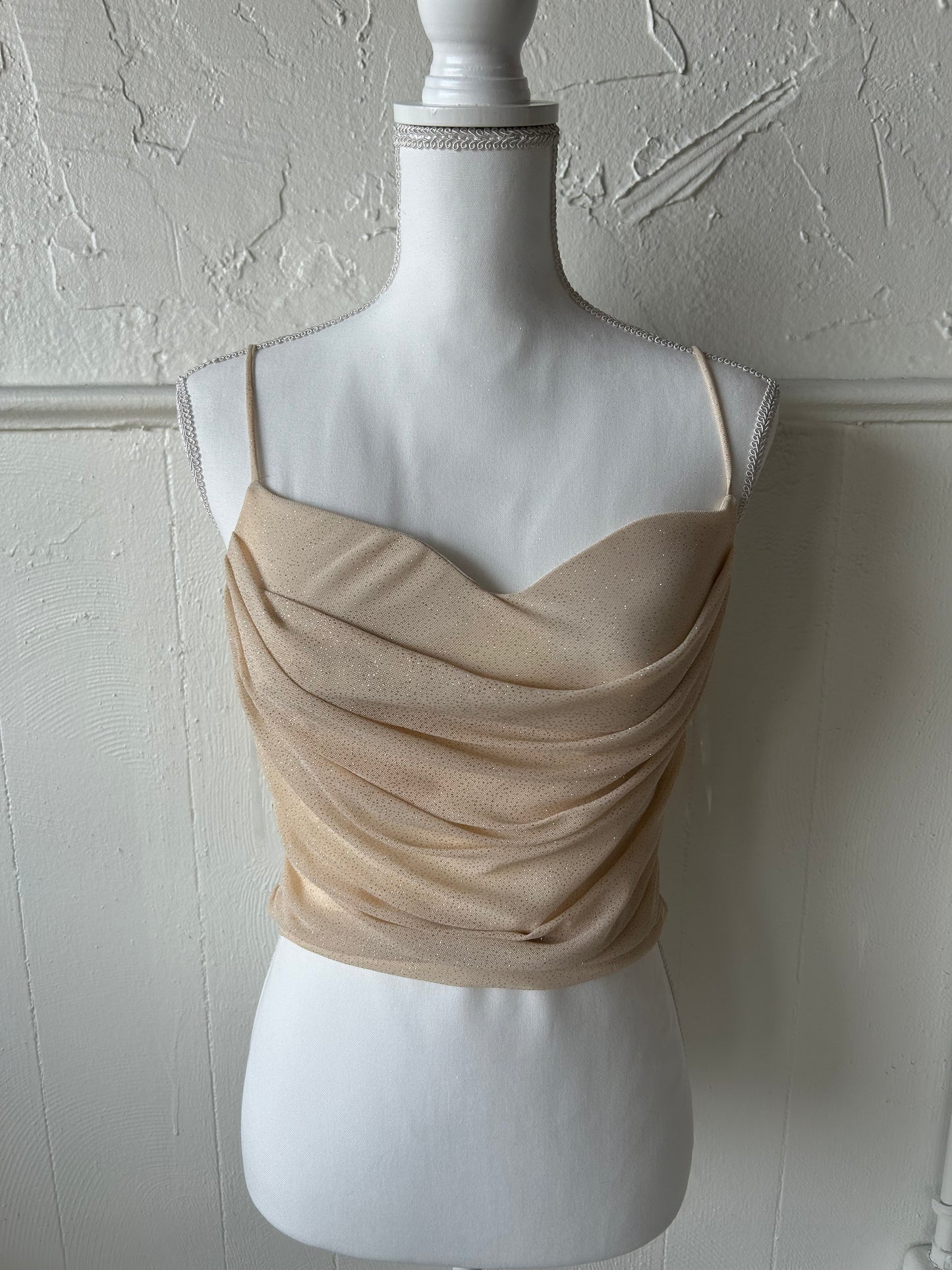 Glitter Beige top