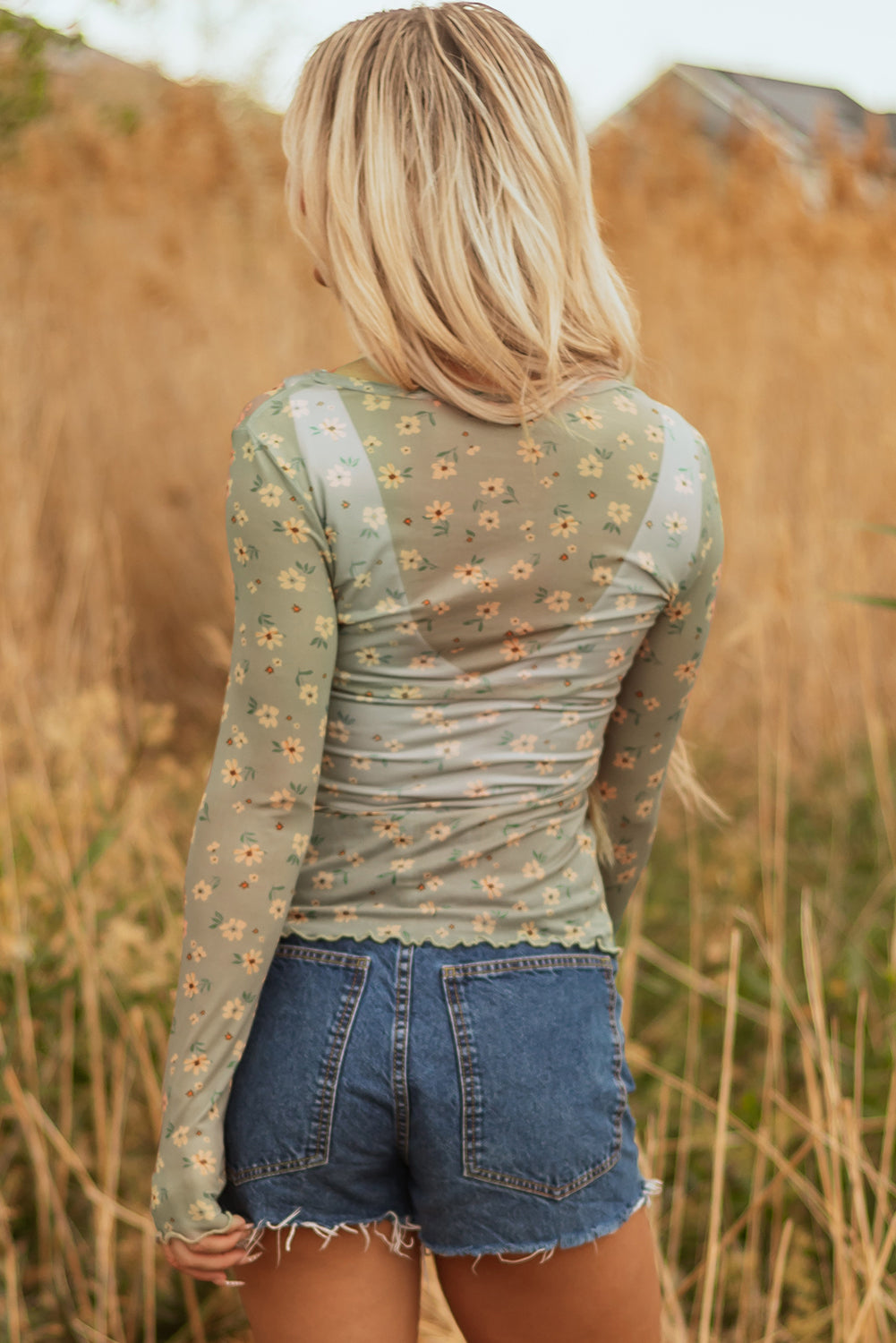 Sky Blue Vintage Floral Print Southern Style Mesh Long Sleeve Top